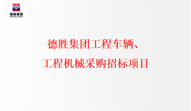 德勝集團(tuán)工程車輛、工程機(jī)械采購(gòu)招標(biāo)項(xiàng)目